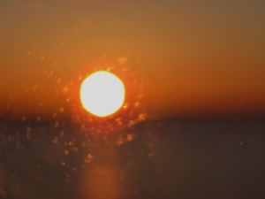 IMG_5043 â Kopi â Kopi