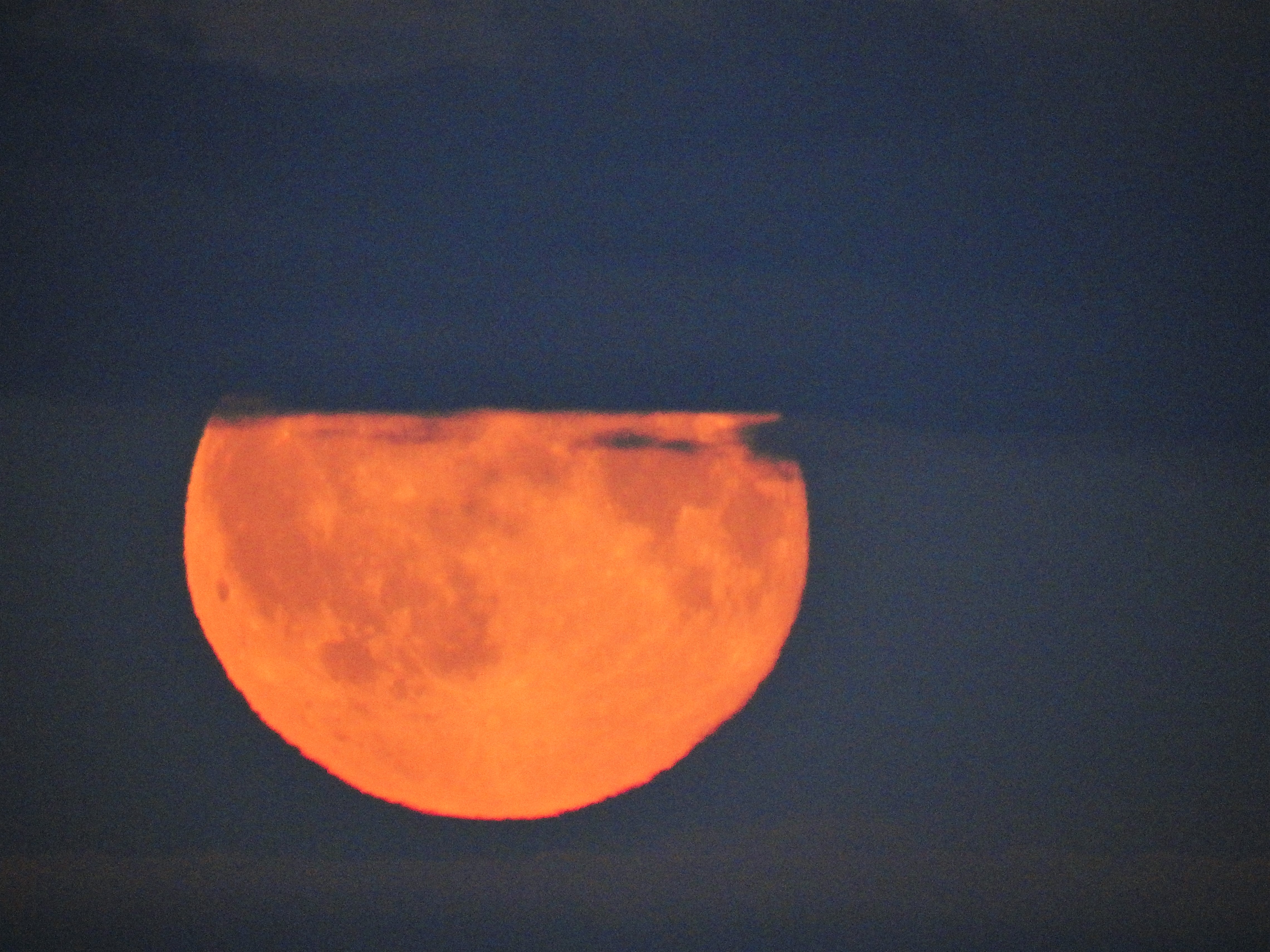 DSCN7902 – Kopi (2)