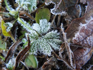 dscn7340-kopi-kopi-kopi