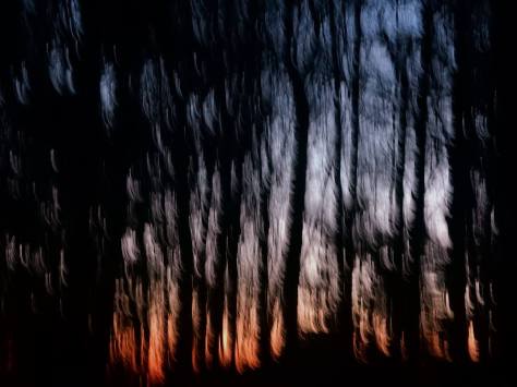 10848977_10204839564405483_5777161659465944351_o-kopi-kopi