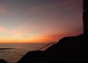 10710429_10204839577845819_2704307426948082957_o-kopi