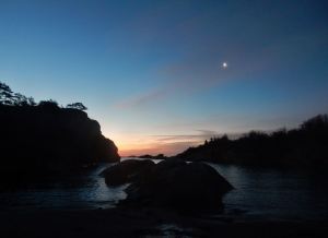 10845715_10204839564485485_8694789325848279930_o