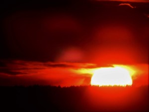 10861143_10204861922524422_2968496639955541512_o