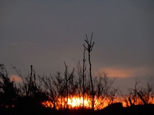 10869436_10204814443577478_248088797130426636_o