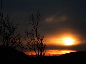 1507297_10204814435937287_1766805043664979697_o