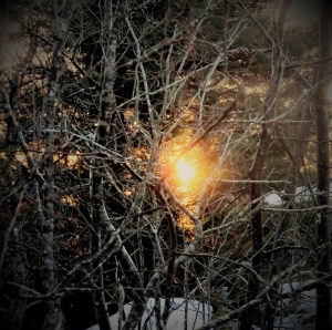 736134_4861996944355_2086439970_o