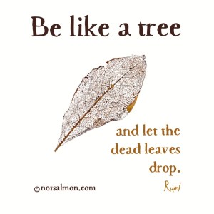 quote-tree-rumi