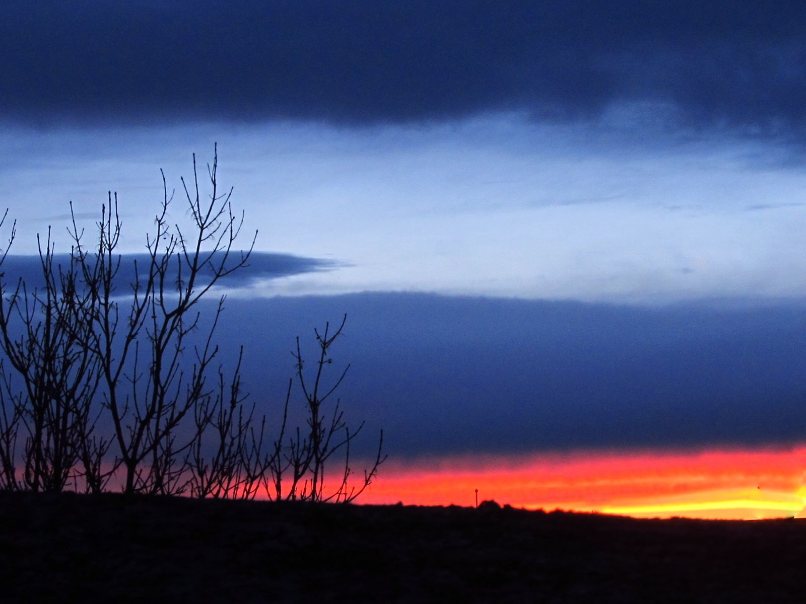 1801131_10202657330971011_354310159_o